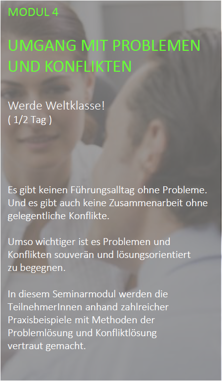 Seminar für junge Führungskräfte. Modul 04 Umgang mit Problemen und Konflikten