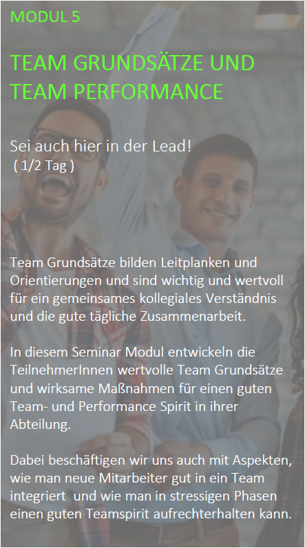 Seminar für junge Führungskräfte. Modul 05 Teamentwicklung